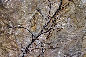  &copy;&nbsp;Фото предоставлено Игорем Огаем