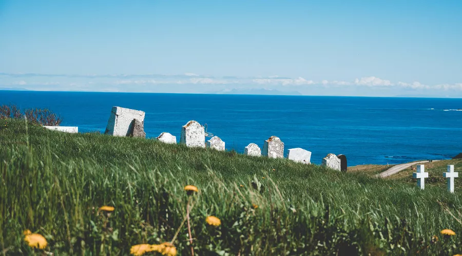  &copy;&nbsp;Фото Rod Long, unsplash.com