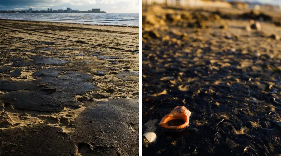  &copy;&nbsp;Фото Валерия Скурыдина