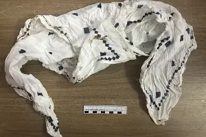  &copy;&nbsp;Фото пресс-службы СУ СК РФ по Ставропольскому краю