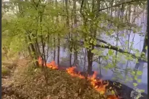  &copy;&nbsp;Скриншот из телеграм-канала &laquo;МЧС Краснодарского края&raquo; https://t.me/mchs_kuban/4662