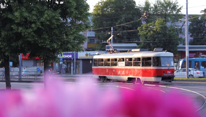  &copy;&nbsp;Фото Марины Солошко, Юга.ру
