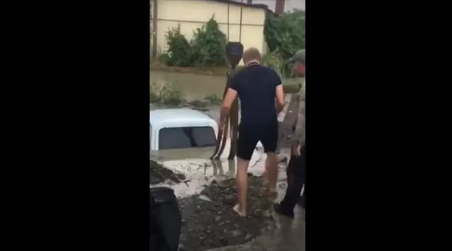  &copy;&nbsp;Скриншот видео из телеграм-канала &laquo;Любимый Сочи&raquo;, t.me/love_sochi/7775