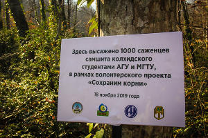  © Фото пресс-службы главы Республики Адыгея