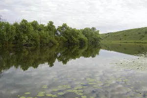 Река Дон &copy;&nbsp;Фото с сайта wikipedia.org