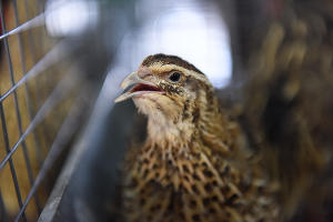  © Фото Елены Синеок, Юга.ру