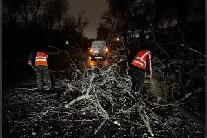  &copy;&nbsp;Скриншот из телеграм-канала мэрии Ростова-на-Дону https://t.me/Rostov_Gorod_Admin/6121