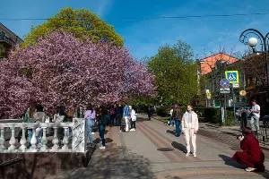 ул. Пушкинская, Ростов-на-Дону &copy;&nbsp;Фото Дмитрия Пославского, Юга.ру