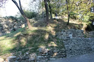 Годлик &copy;&nbsp;Фото Екатерины Штыбиной