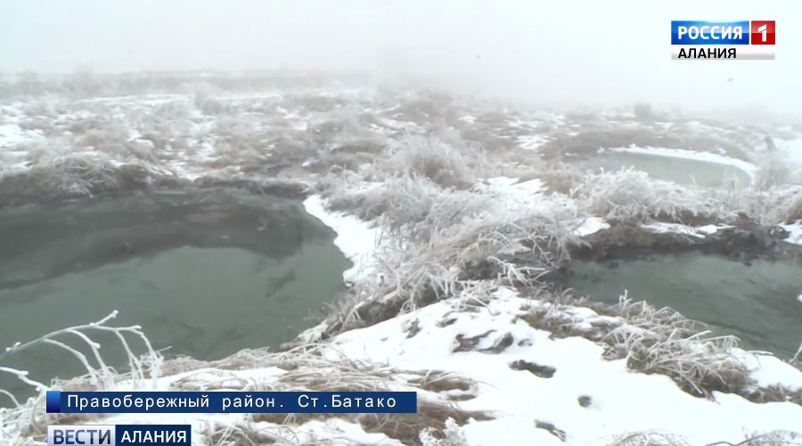  &copy;&nbsp;Скриншот из видео на alaniatv.ru