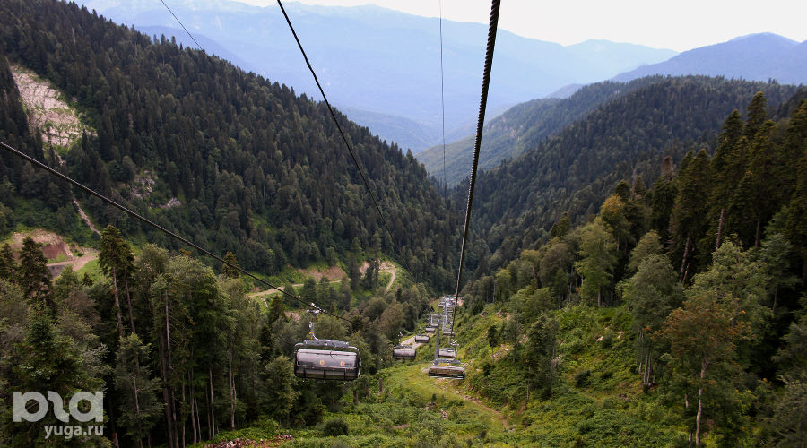  © Фото Марины Солошко, Юга.ру