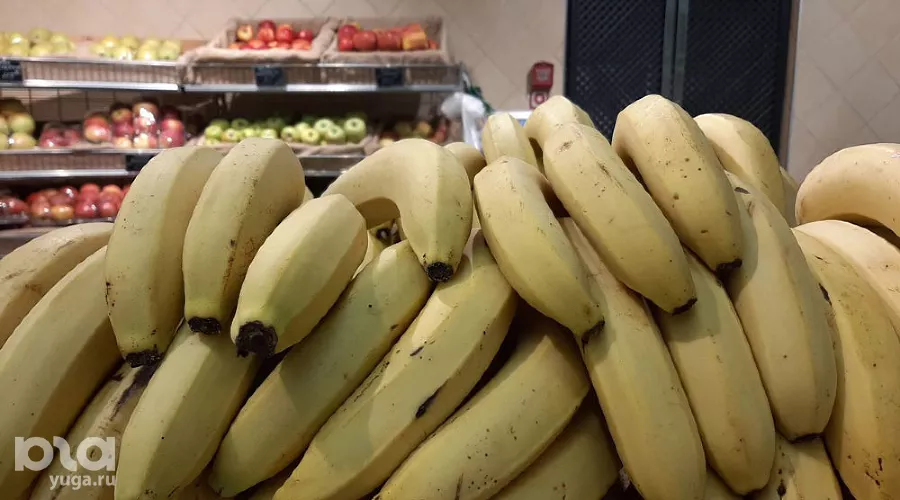  &copy;&nbsp;Фото Анны Петровой, Юга.ру