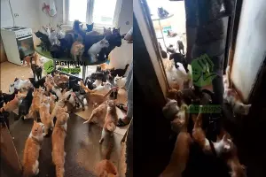  &copy;&nbsp;Коллаж из скриншотов из телеграм-канала Gmrlive