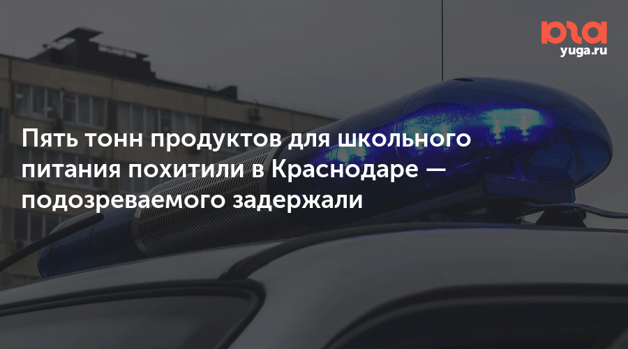 Пять тонн продуктов для школьного питания похитили в Краснодаре — подозреваемого задержали