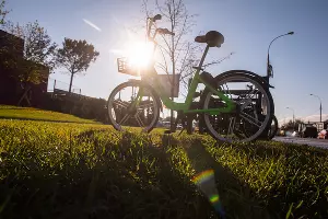  &copy;&nbsp;Фото Елены Синеок, Юга.ру