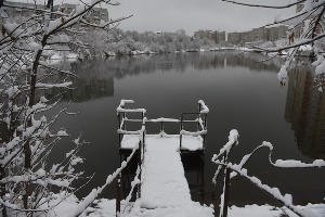 Снег в Краснодаре © Фото Елены Синеок, Юга.ру