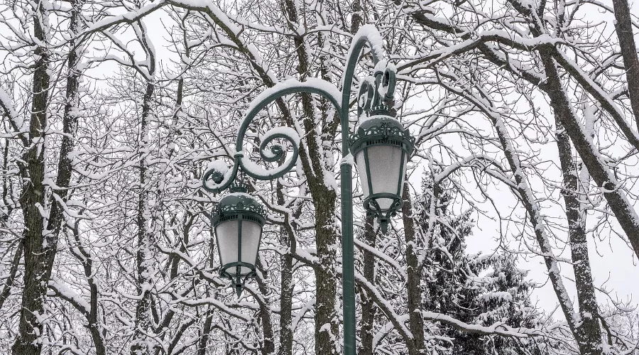  &copy;&nbsp;Фото с сайта pixabay.com