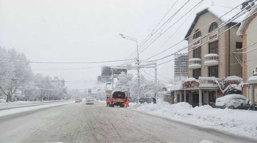  &copy;&nbsp;Фото Александры Аксеновой, Юга.ру