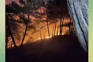 Пожар в Голубой бездне, 16 августа 2025 г. &copy;&nbsp;Скриншот публикации в телеграм-канале ГБУ КК &laquo;Краевой лесопожарный центр&raquo;, T.me/krd_klpc