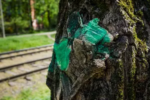  &copy;&nbsp;Фото Евгения Мельченко, Юга.ру