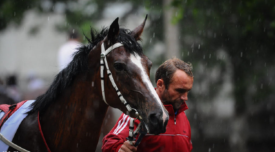  © Елена Синеок, ЮГА.ру