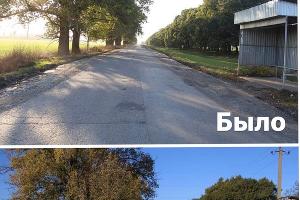  &copy;&nbsp;Фото пресс-службы администрации Краснодара