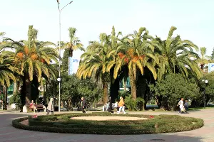  &copy;&nbsp;Фото Марины Солошко, Юга.ру