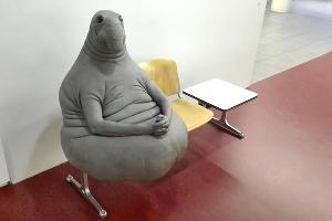  &copy;&nbsp;Фото с сайта lumc.nl