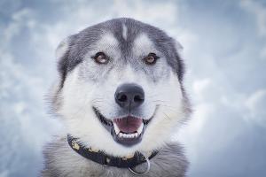  © Фото пресс-службы Кавказского заповедника