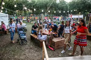 Фестиваль «Стереопикник» в Краснодаре &copy;&nbsp;Фото Михаила Чекалова, Юга.ру