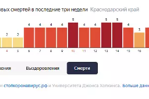  &copy;&nbsp;Инфографика с сайта yandex.ru/covid19