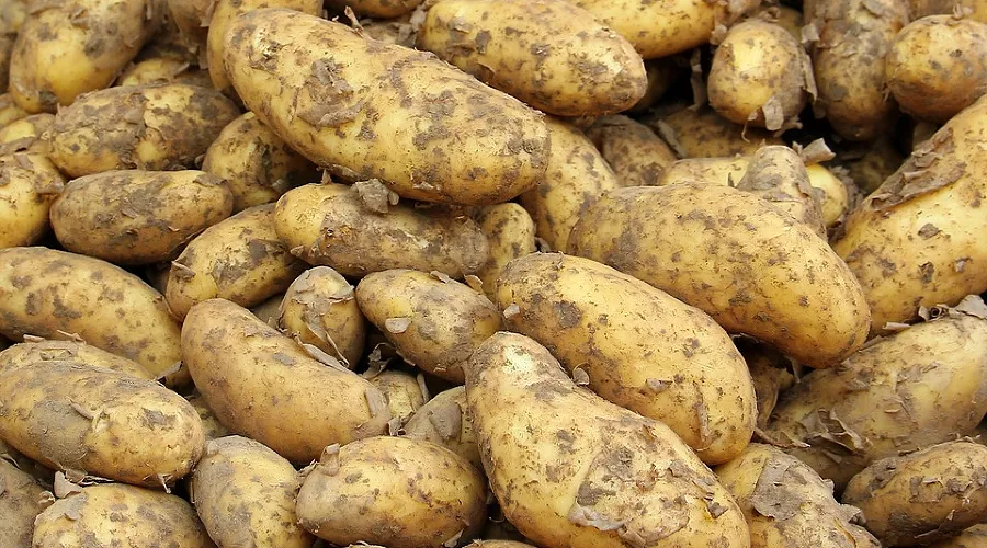  &copy;&nbsp;Фото с сайта pixabay.com