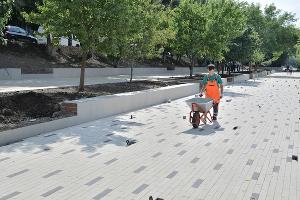  © Фото пресс-службы администрации Краснодара