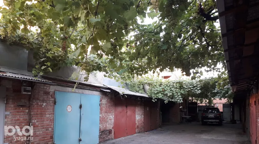  &copy;&nbsp;Фото Юлии Дыкань для Юга.ру