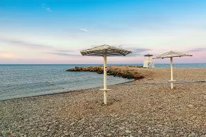  &copy;&nbsp;Фото startnatali2019, freepik.com