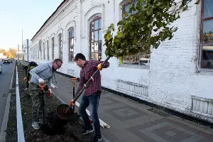  &copy;&nbsp;Фото пресс-службы администрации Краснодара