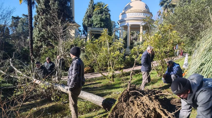  &copy;&nbsp;Скриншот фото из телеграм-канала МЦУ Сочи