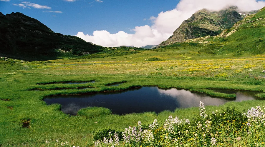 Озера Дзитаку &copy;&nbsp;Фото пресс-службы Кавказского биосферного заповедника