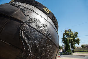  © Фото Елены Синеок, Юга.ру