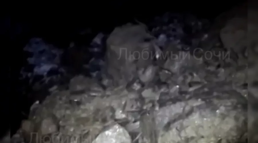  &copy;&nbsp;Кажр видео из телеграм-канала &laquo;Любимый Сочи&raquo;, t.me/love_sochi