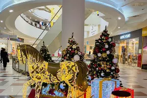  &copy;&nbsp;Фото пресс-службы ТРЦ &laquo;Галерея&raquo;