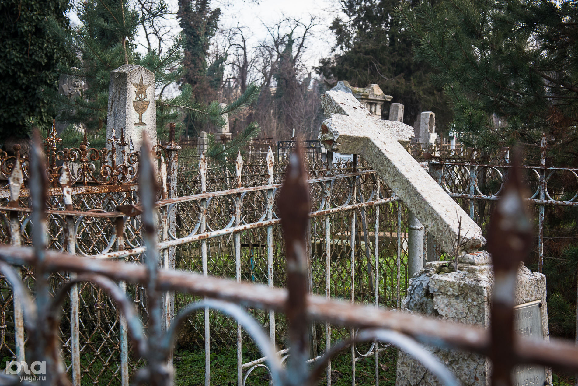 Всесвятское кладбище Краснодара © Елена Синеок, Юга.ру