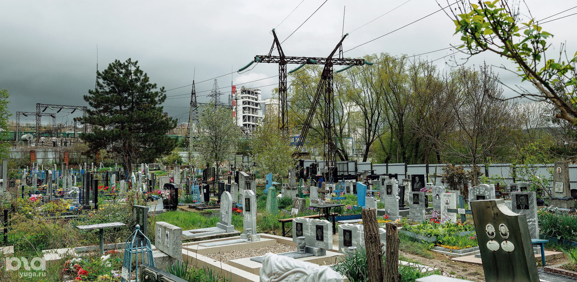 Верхнебаканское кладбище © Фото Юли Шафаростовой, Юга.ру