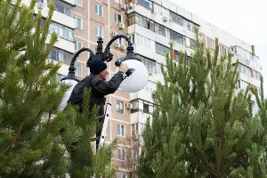 Аллея в честь 80-летия образования Краснодарского края &copy;&nbsp;Фото Елены Синеок, Юга.ру