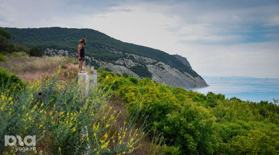  © Фото Елены Синеок, Юга.ру