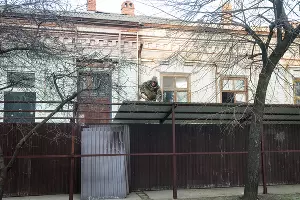  &copy;&nbsp;Фото Елены Синеок, Юга.ру