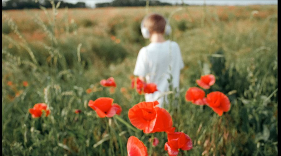  © Скриншот фото из письма от пресс-службы музея имени Коваленко