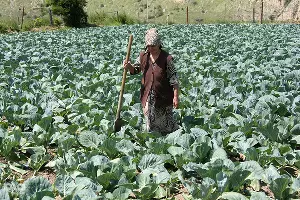 В Кабардино-Балкарии сохраняется режим КТО &copy;&nbsp;Влад Александров. ЮГА.ру