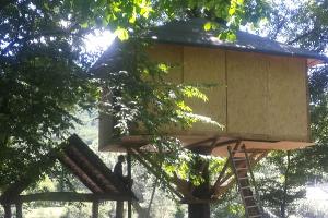  © Фото Максима Богатырева