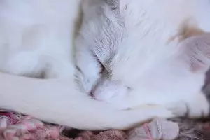  &copy;&nbsp;Фото предоставлено Ангелиной Тарановой